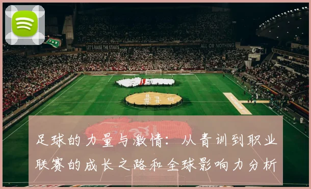 足球的力量与激情：从青训到职业联赛的成长之路和全球影响力分析