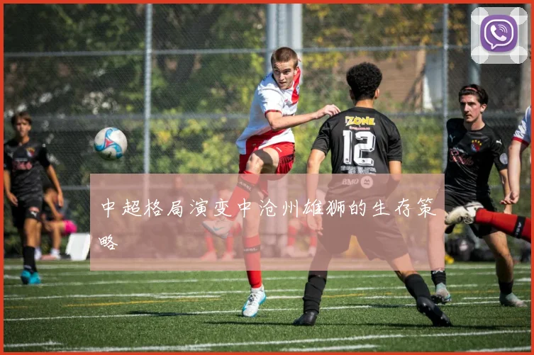 中超格局演变中沧州雄狮的生存策略