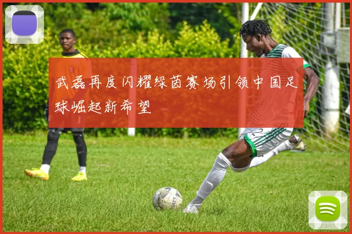 武磊再度闪耀绿茵赛场引领中国足球崛起新希望