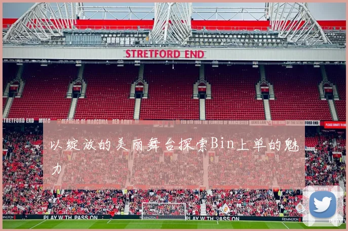 以绽放的美丽舞台探索Bin上单的魅力