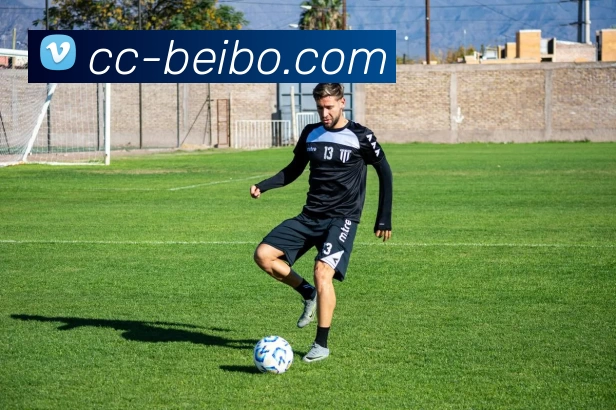 App Interface Preview