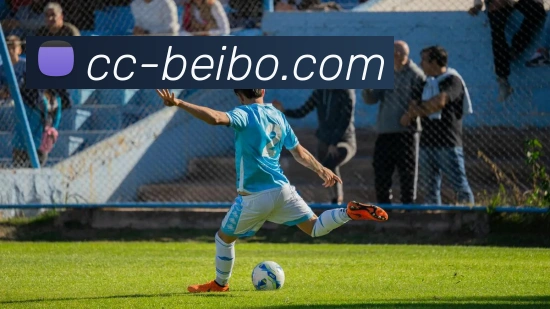 丹尼斯·博格坎普：从阿森纳传奇到足球场上的艺术家